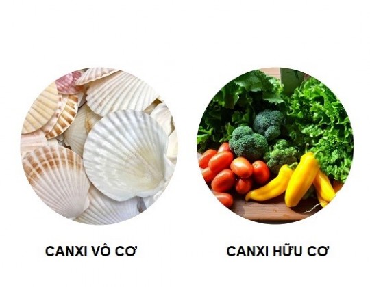 Hai cách bổ sung canxi hữu cơ được ưa chuộng nhất hiện nay