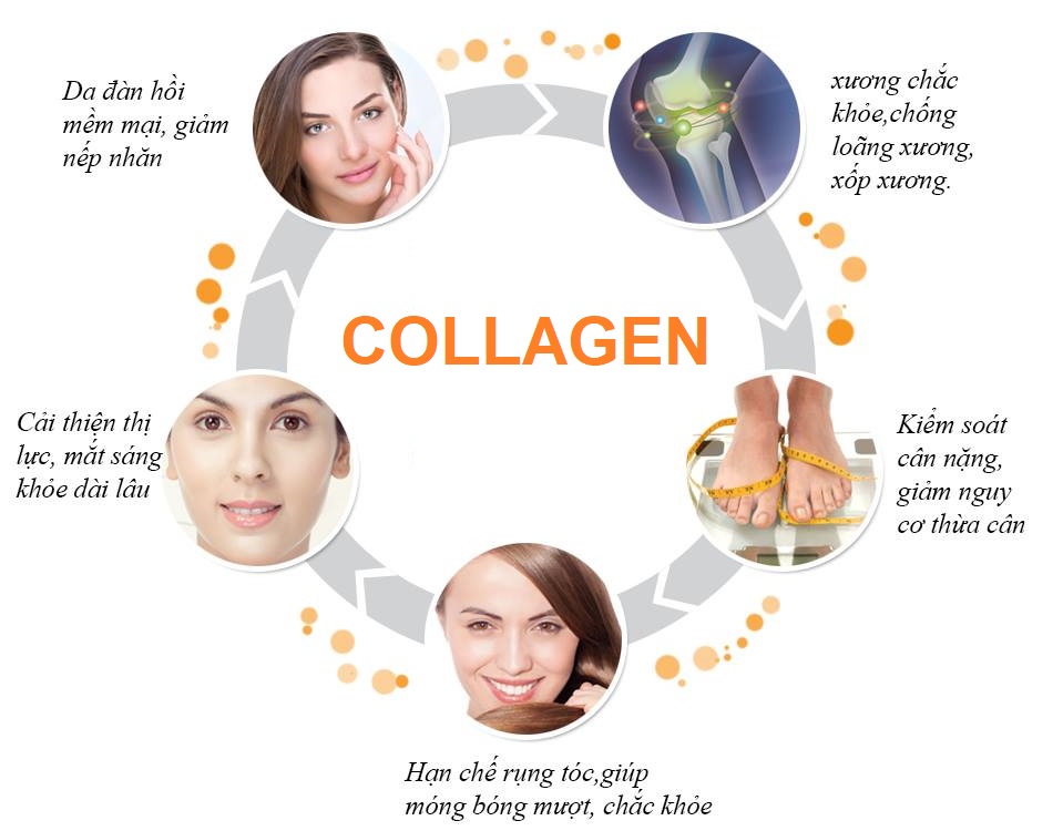 Vai trò của Collagen nước đối với cơ thể nữ giới?