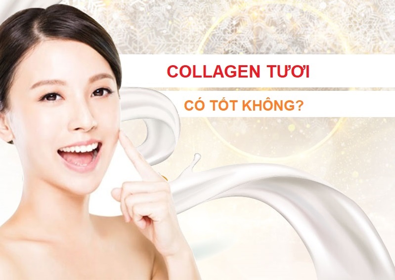 Collagen tươi có tốt không?