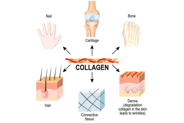 Điểm danh các dạng collagen hiện có trên thị trường