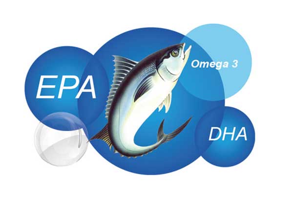 Acid béo DHA và EPA có nhiều trong dầu cá