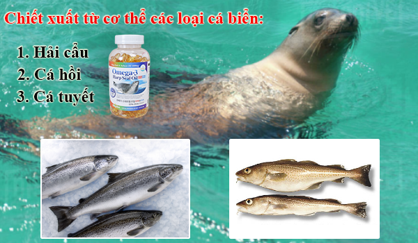 Thành phần của dầu cá Omega 3 Harp Seal Oil 1000mg